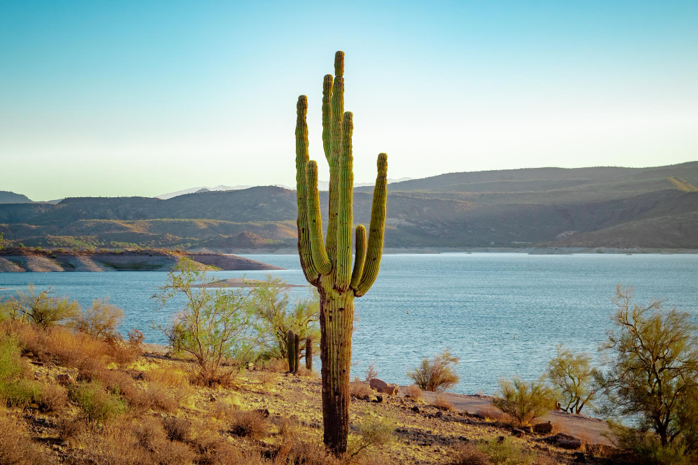 Baja California Sur